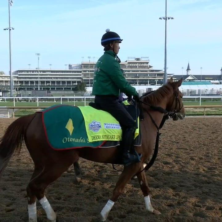 American helps Japanese team get Derma Sotogake to Kentucky Derby starting line